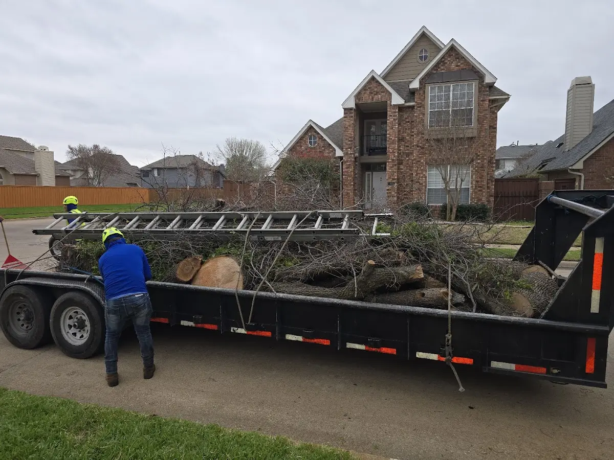 Expert Lot Clearing with proper safety equipment in Jber